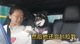 濂崇敓鍋氳揣鎷夋媺鍙告満,濂冲瀛愬仛鍙告満璺戣揣鎷夋媺