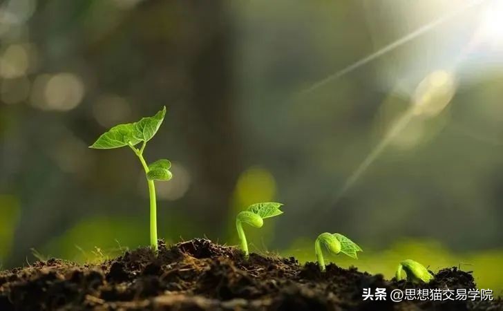 行情走势都在预判之内,如何把握行情走势