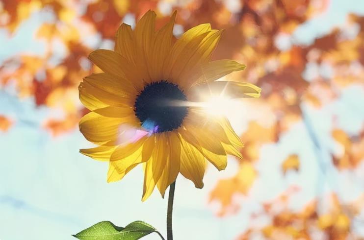 穷人如果想发财必须要做这几件事,如果你现在很穷该怎么办