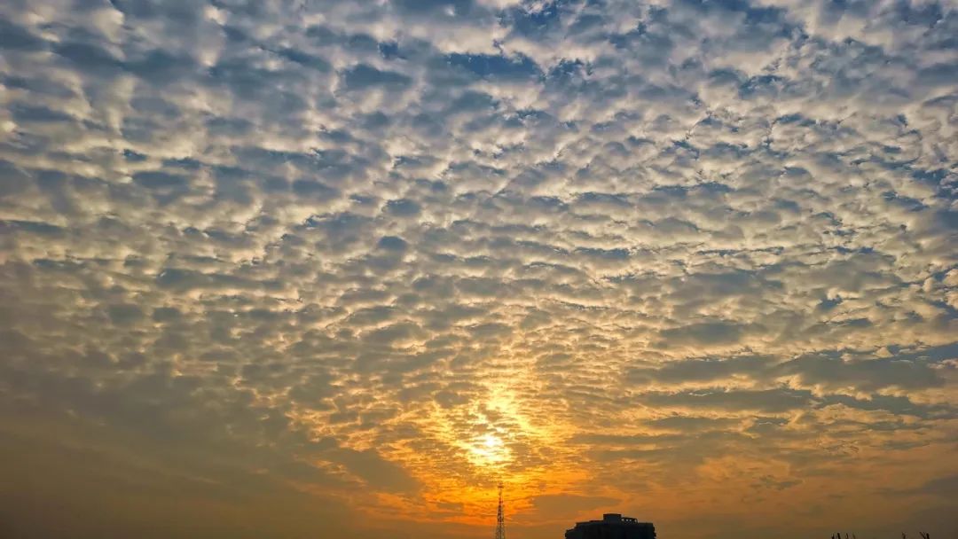 iga肾病四级能治愈几率有多大,iga肾病4级可以保持一辈子吗