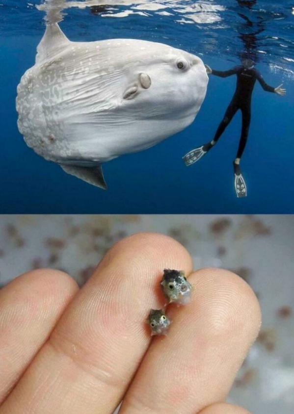 水下世界神秘视频,让人惊叹的水下视频