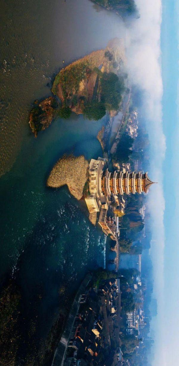 微生物菌群最新研究进展,一号菌群科研新成果