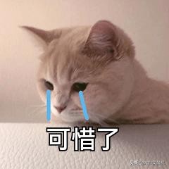 腾讯qq不再服务了吗,腾讯qq在2018年底会停止使用吗