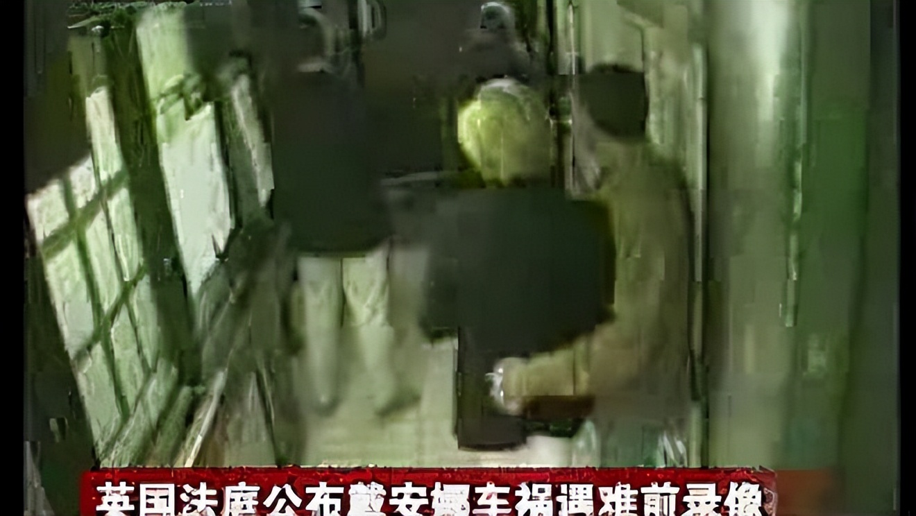 戴安娜和多迪分手原因,戴安娜和多迪什么关系