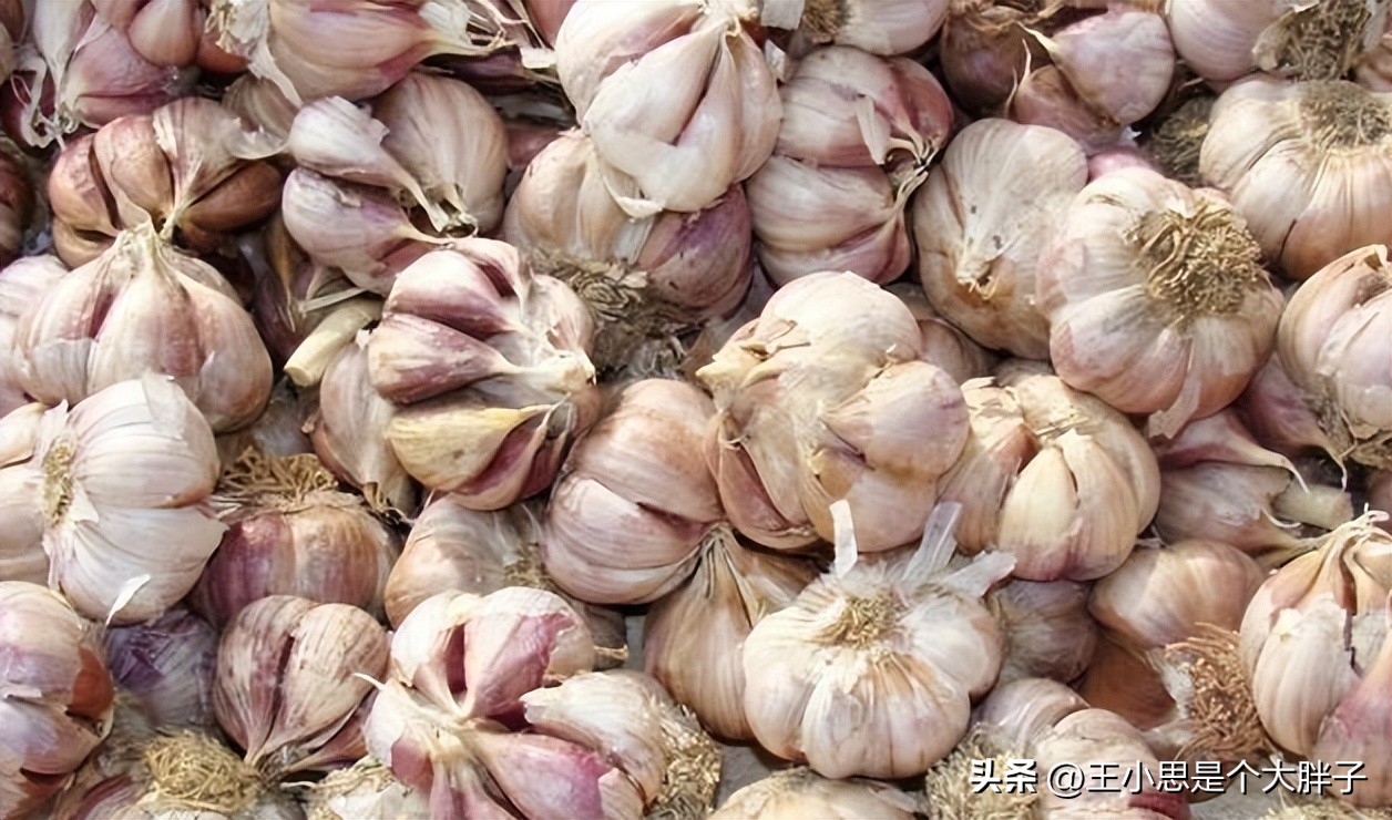 四种大蒜不能随便买,买大蒜时这几种大蒜最好不要买