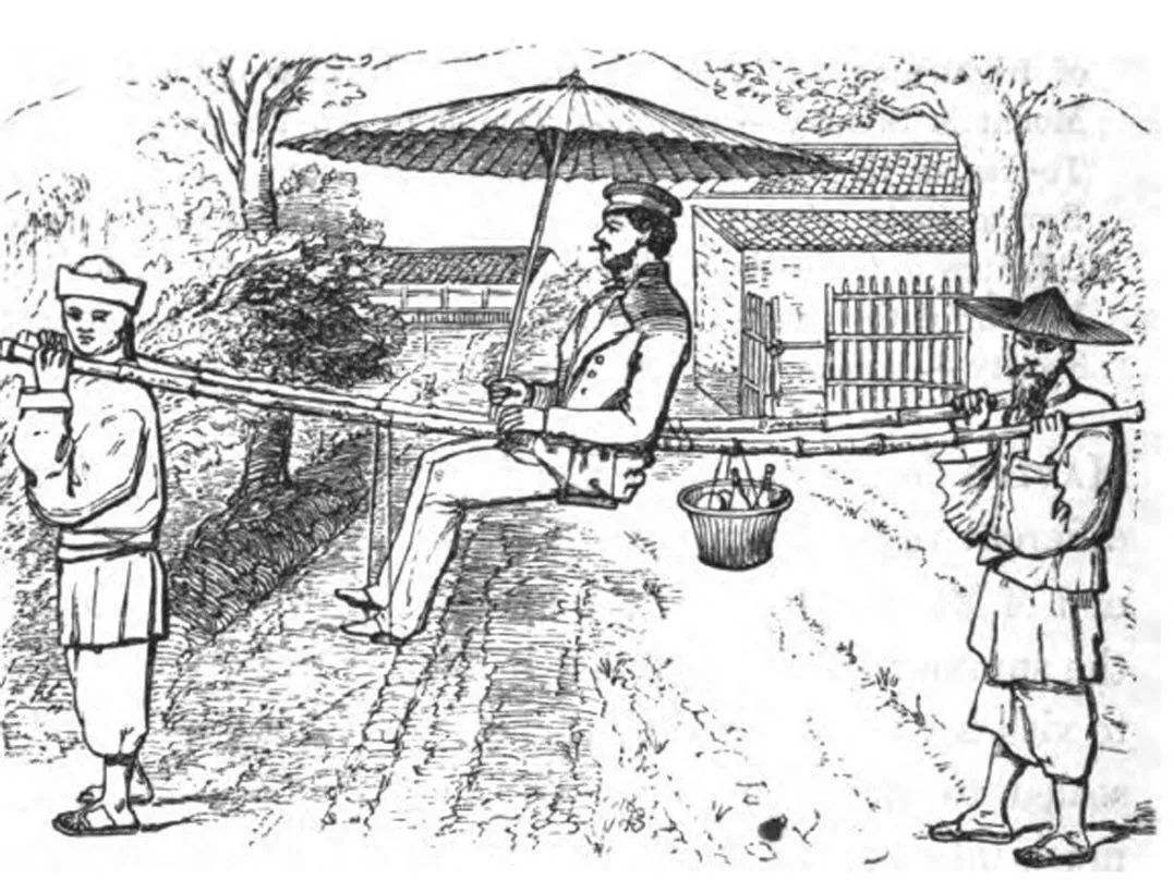 痛心的技术泄密：英国*子骗**偷走安徽两种树苗，让清朝损失百亿纹银