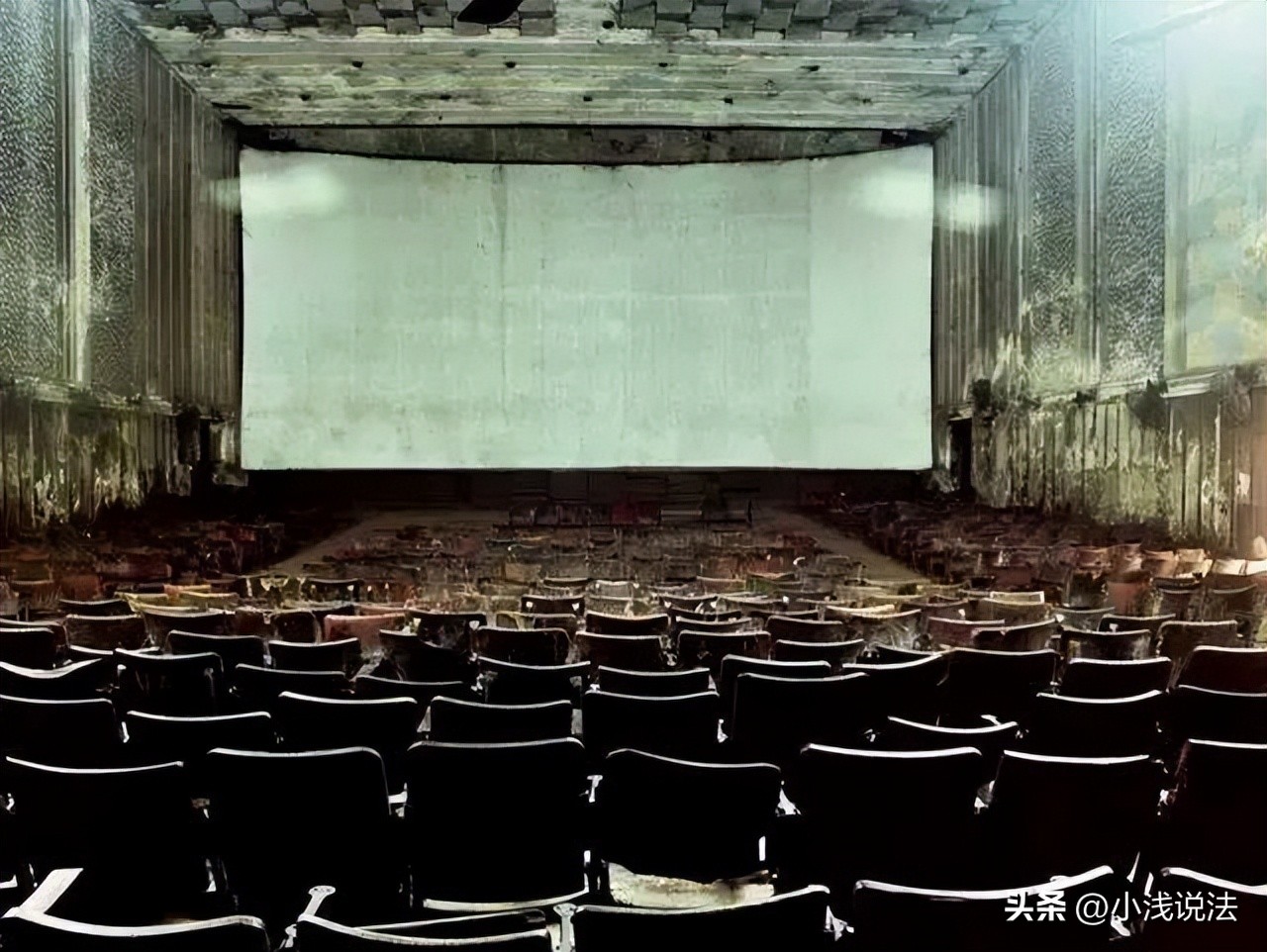 上海杀害出轨丈夫女子被判刑,1995年上海杀妻案件