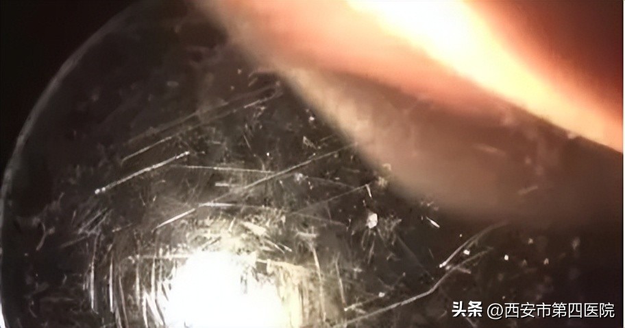 健康中国行动全程讲解,健康中国行动2019-2030原文