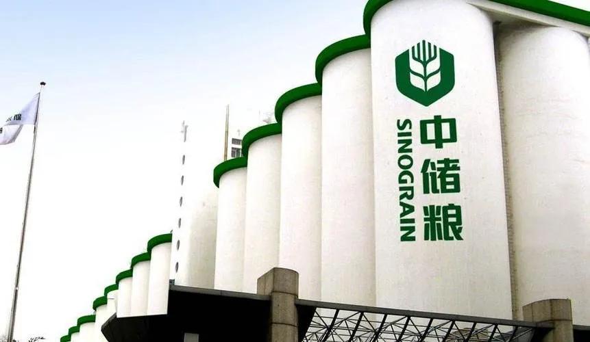 红薯和主粮的区别,红薯为什么不主粮