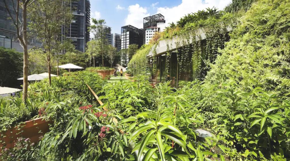 公园商业中心设计,公园创意商业街区空间设计