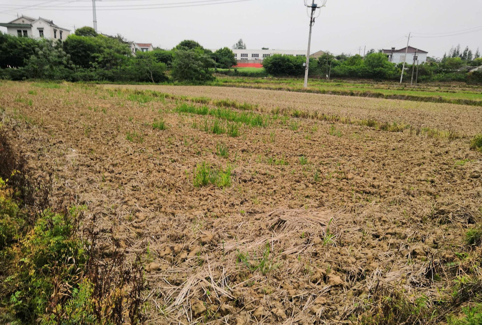 广西毒蛇女王多少斤,广西女子家中藏价值46亿蛇毒