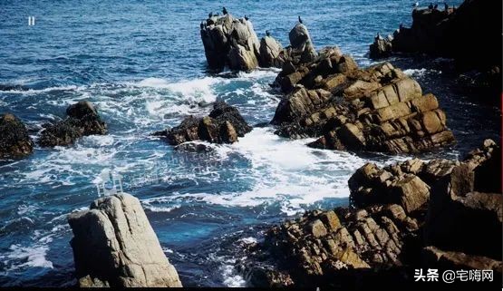 三星samsung55英寸oled测评,三星lsp9t评测