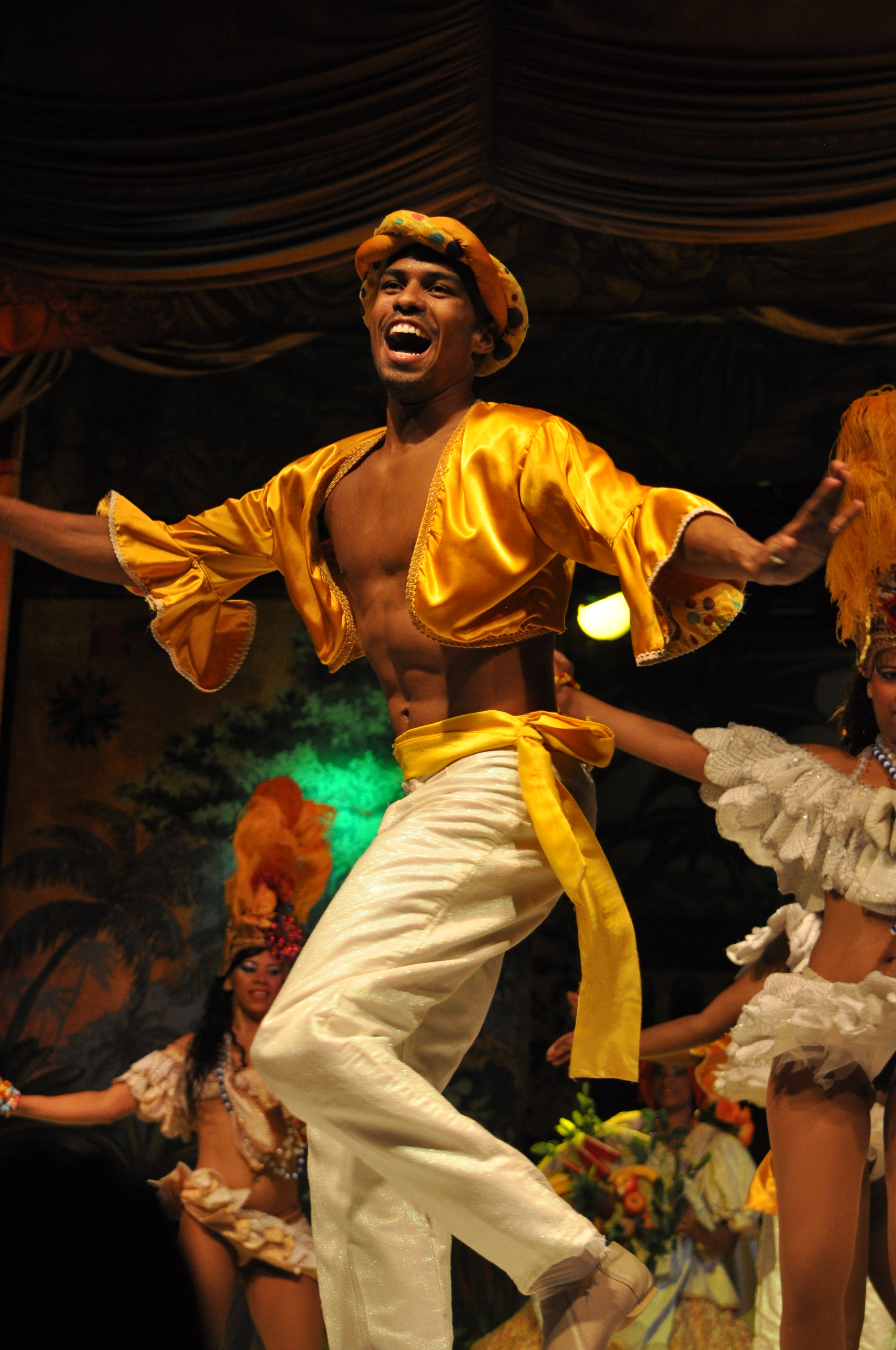 在里约,在巴西看桑巴舞