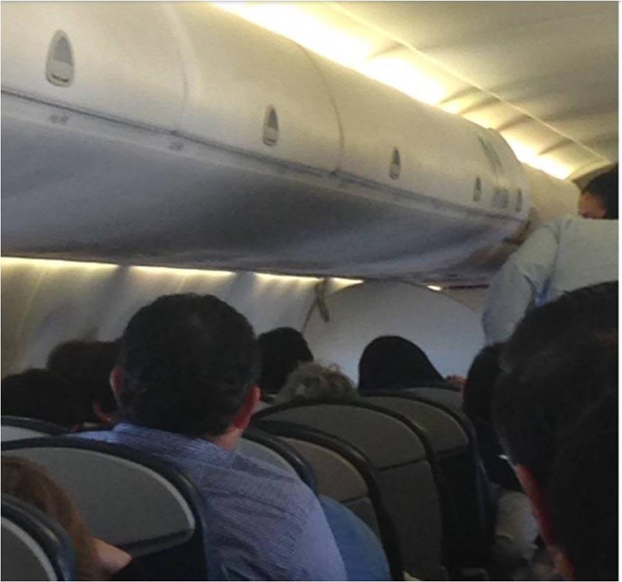 “飞机上怎么会有蛇”?美国一航班发现束带蛇,乘客:蛇咋来的?