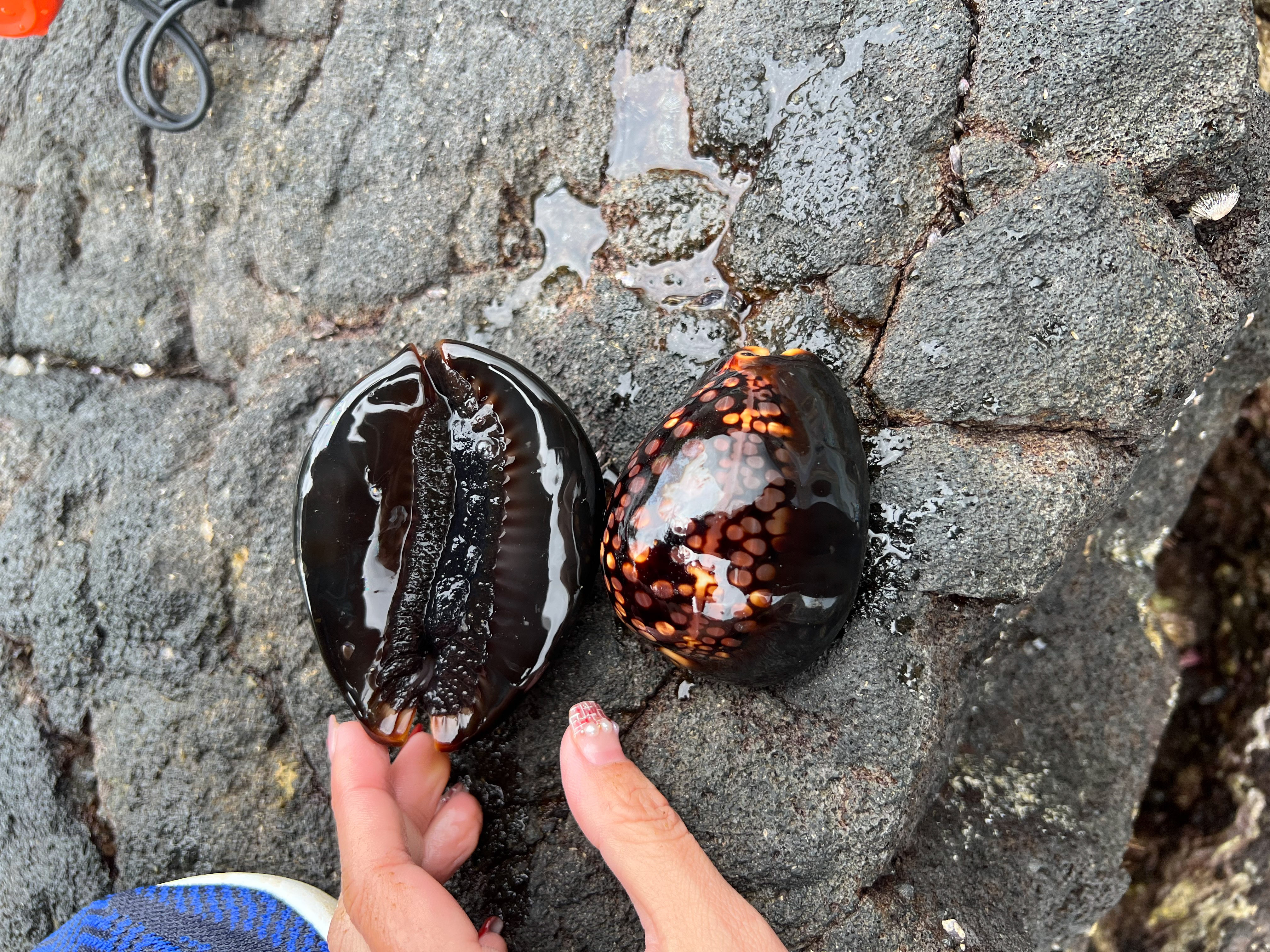 美国风光之夏威夷,夏威夷哪个岛适合度假