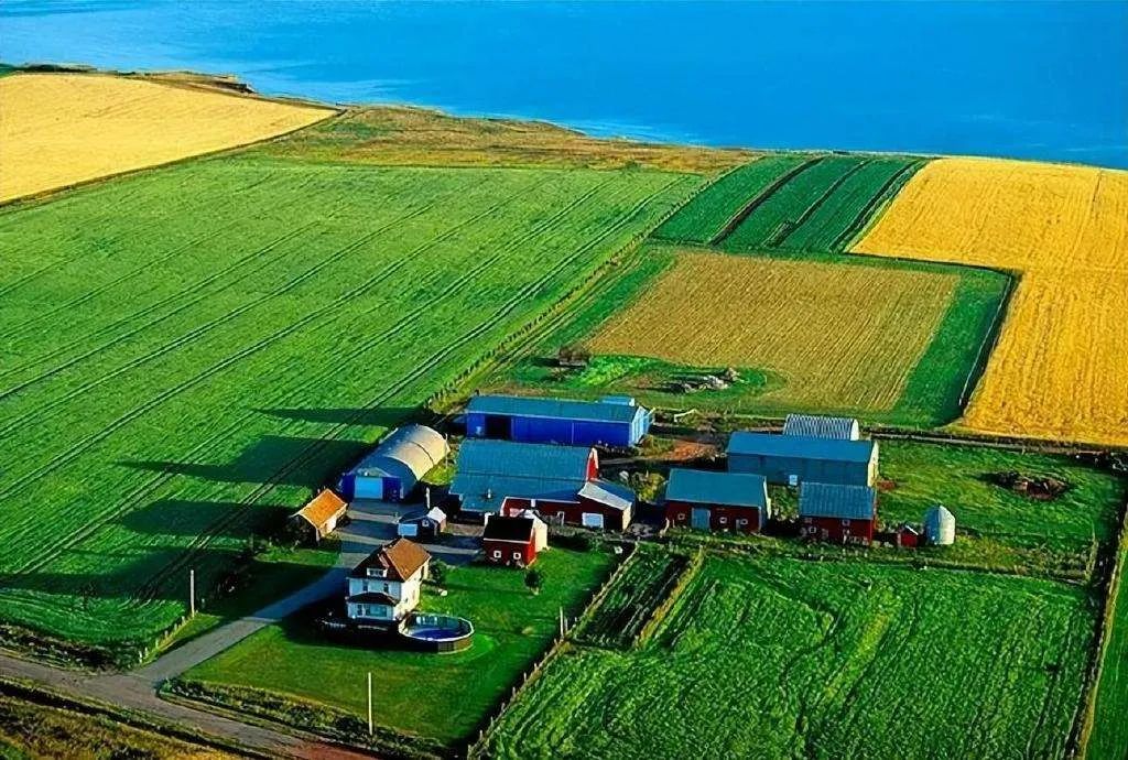 智慧农业前景,智慧农业发展前景及市场分析