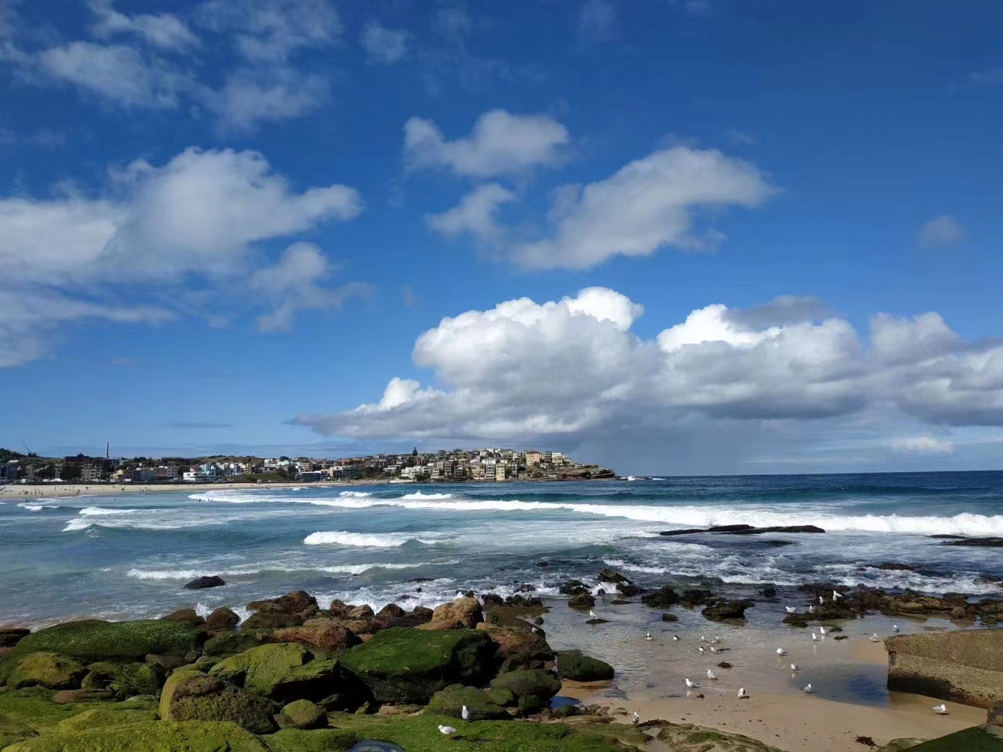 关于我用700块人民币搞定一家三口澳洲往返机票这件事