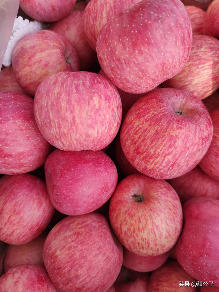 色香味俱全的甘肃苹果,红艳艳的让人看着流口水