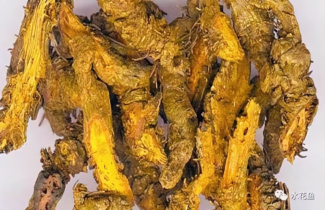 12种水产病害防治,你对水产动物病害的初步认识