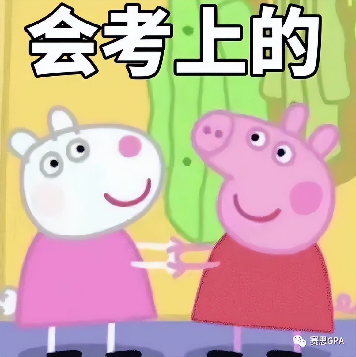 宝藏规划~IBer必备的2023美本申请关键信息