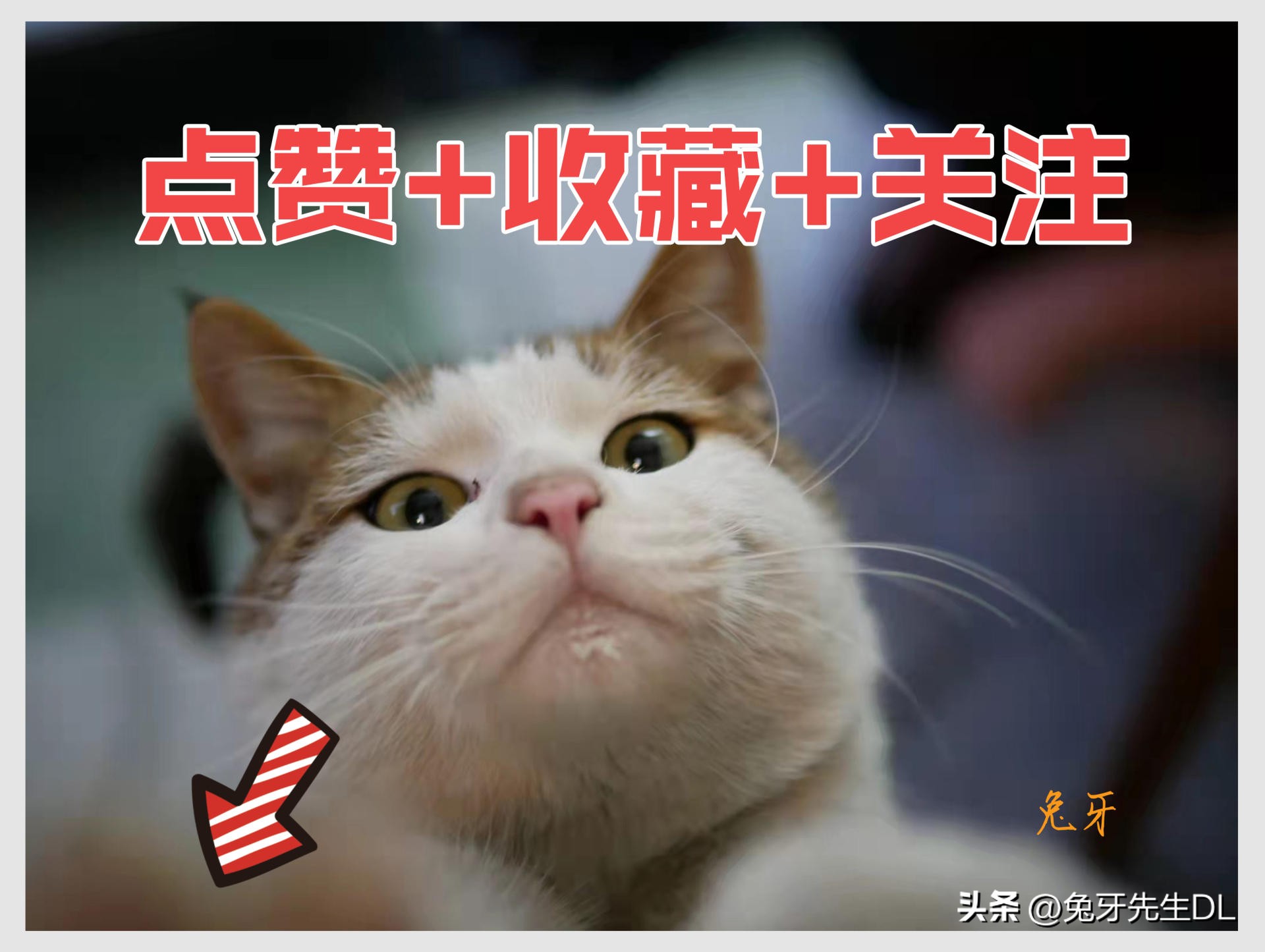 超级喜欢吃米饭,东芝电饭煲rc-10hpc测评