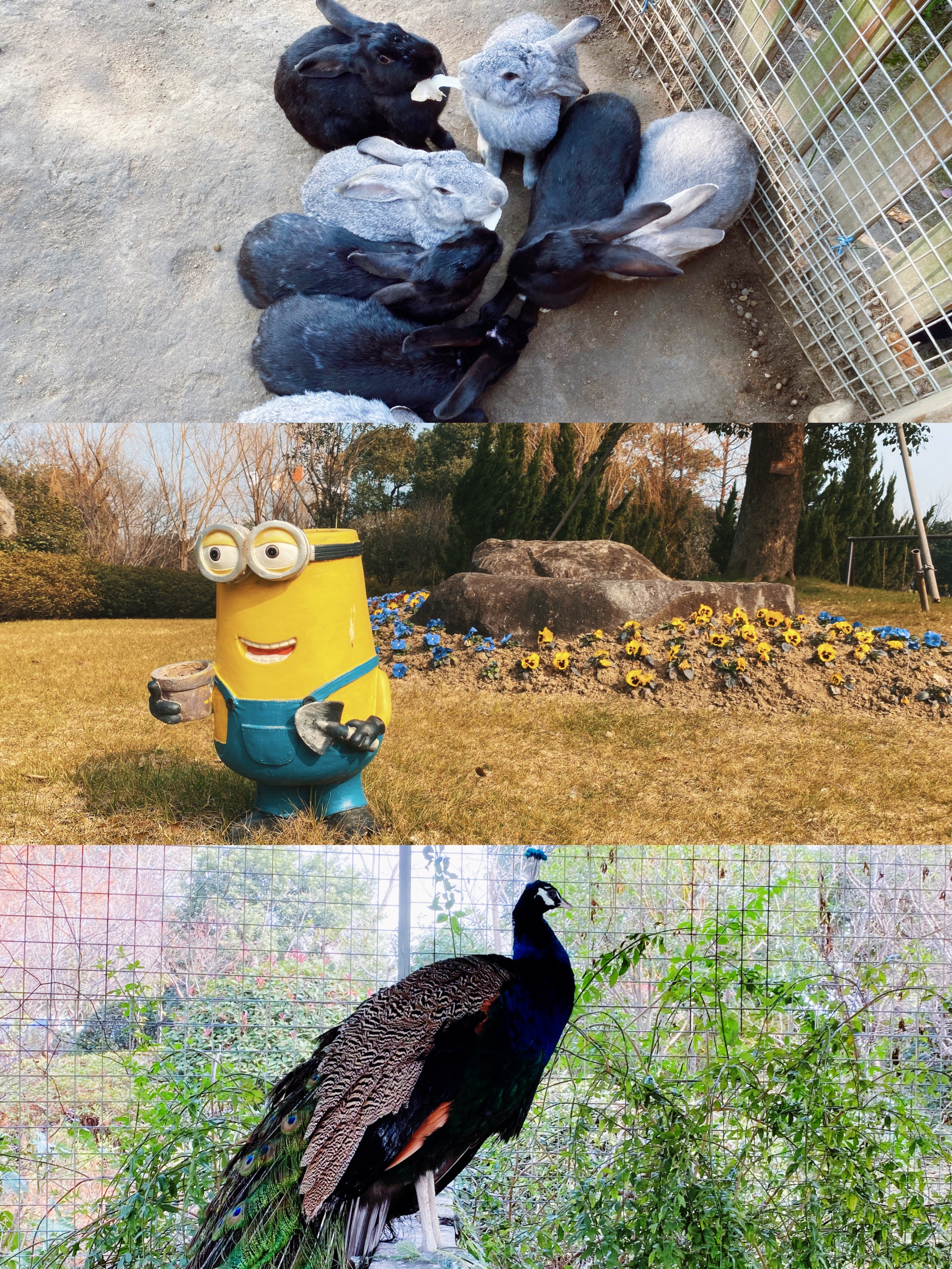 苏州东太湖游玩攻略,春节东太湖旅游攻略