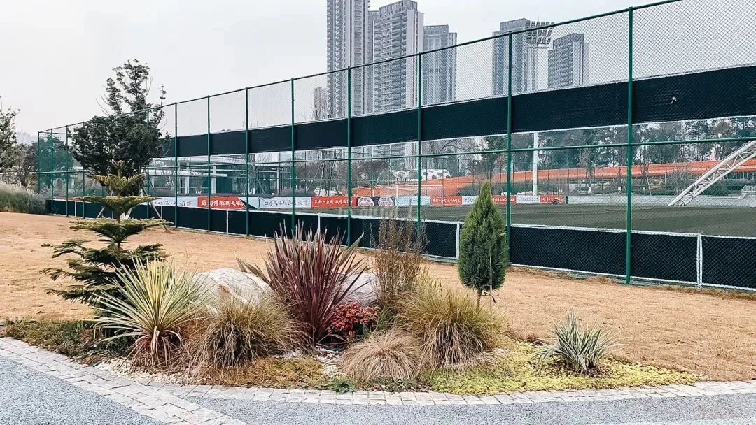 成都成华区城东体育公园,体育公园和大河口哪个值得玩