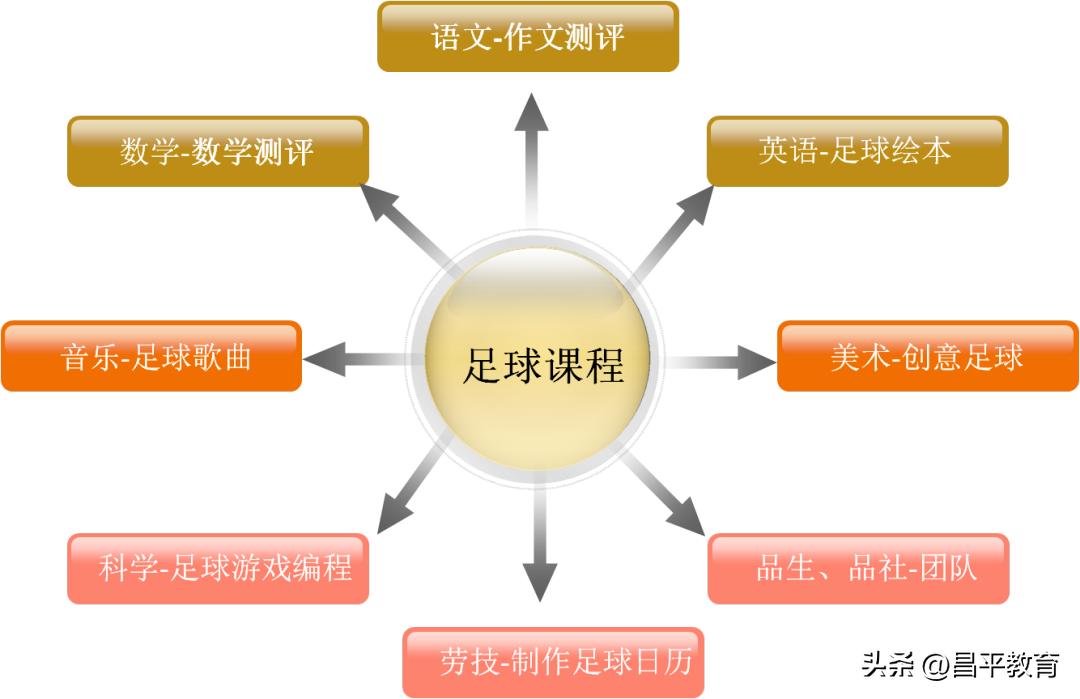 校园足球比赛世界杯,学校足球世界杯