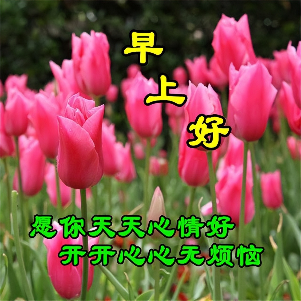 清晨太阳早安心语,早上好充满希望的一天