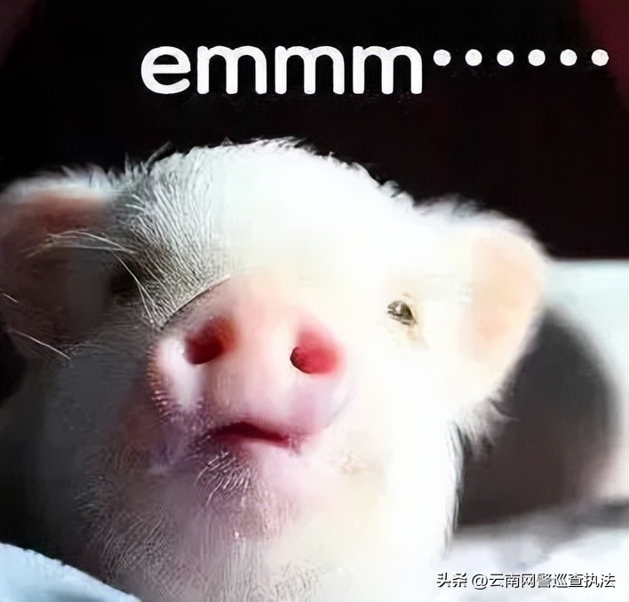 直播赌石套路,赌石套路深度解析