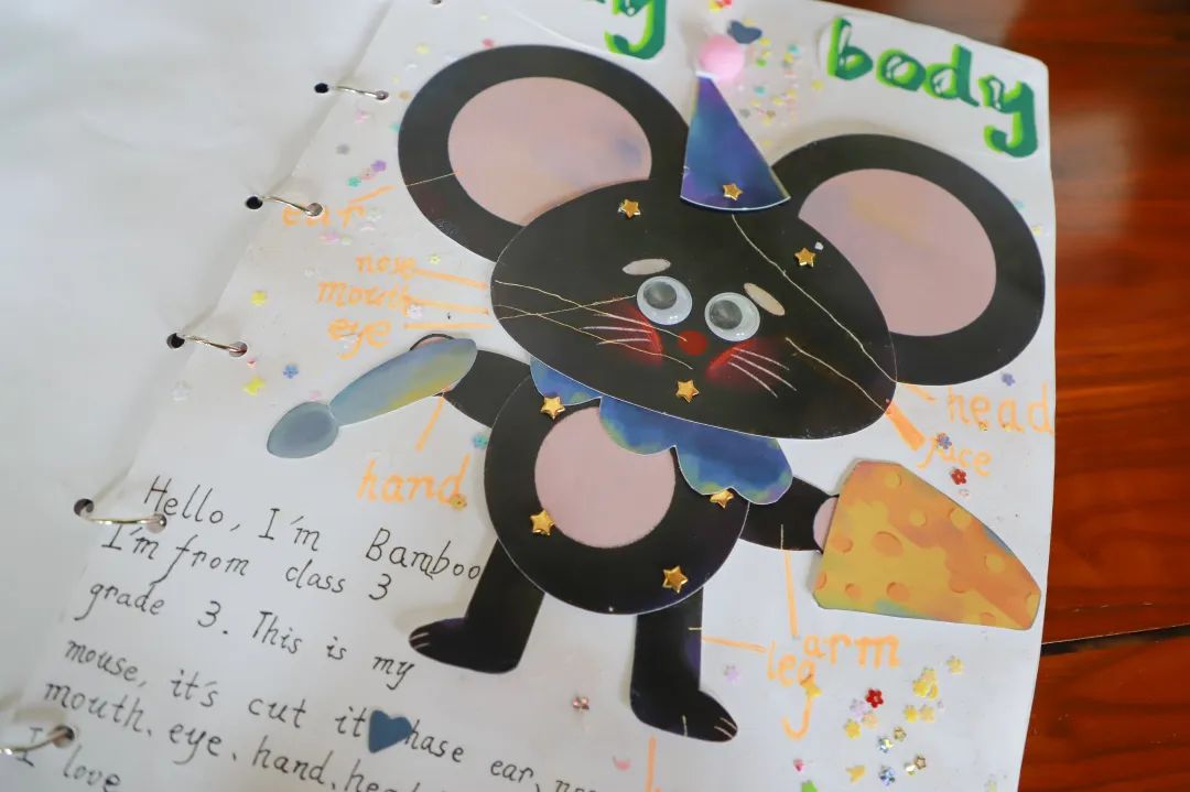 双新改革下的高质量英语教学反思,双减政策下英语教学实录