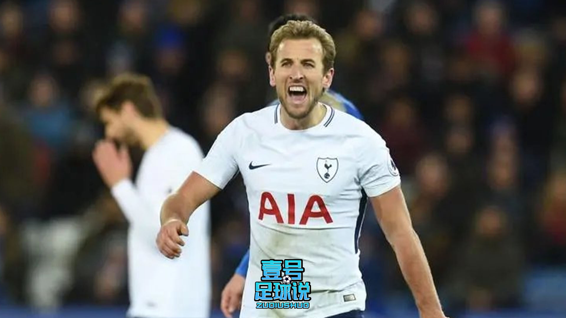 金靴奖凯恩,凯恩进球费迪南德