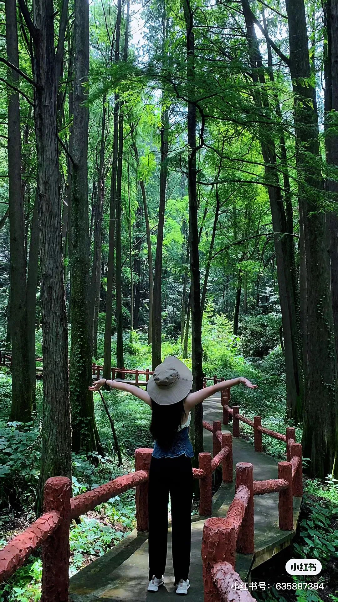 信阳南湾湖一日游详细攻略,信阳三日游攻略