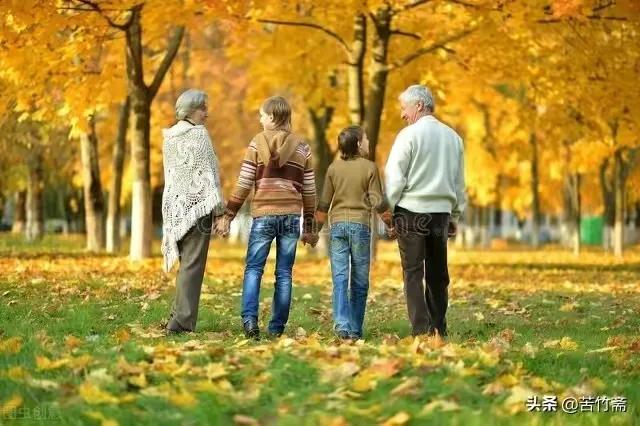 年轻人如何应对老年生活,老年人和年轻人之间的矛盾怎么办