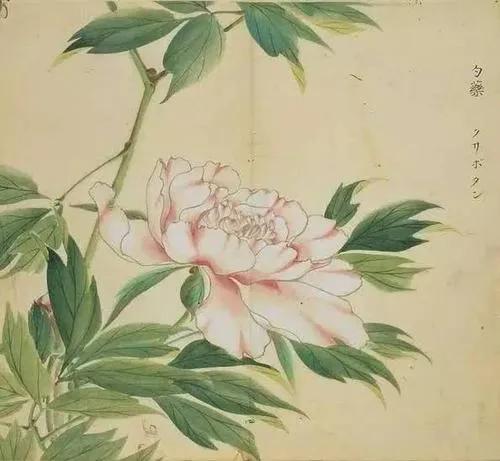 陈风月诗经原文,诗经陈风月出全文注音