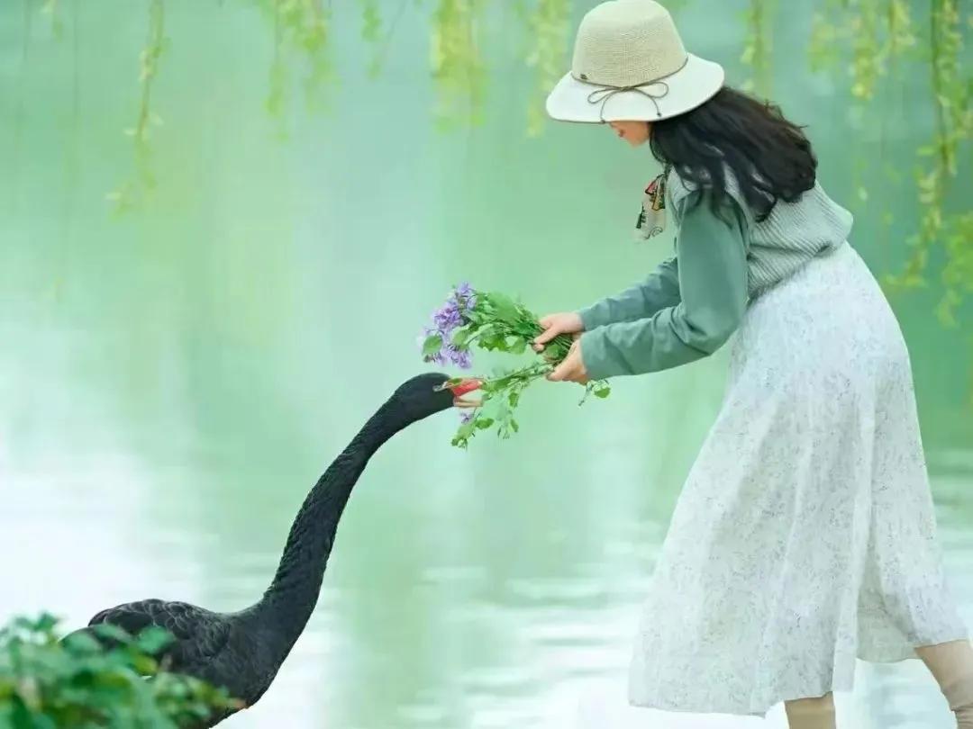 来到农大的心得体会,农大心得