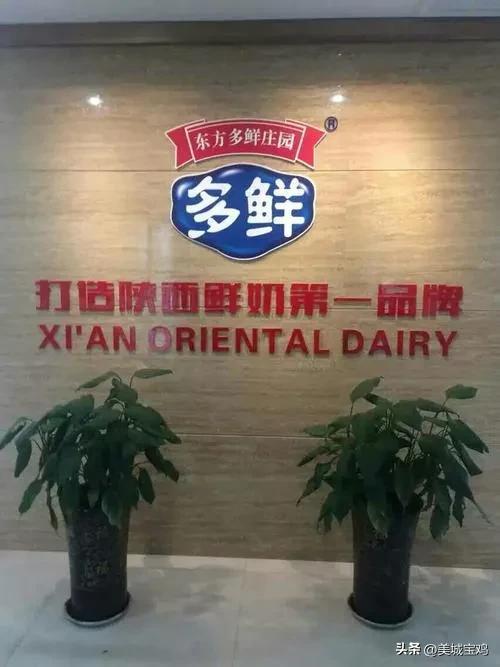 君乐宝多少钱收购陕西银桥乳业,君乐宝收购银桥是真的吗