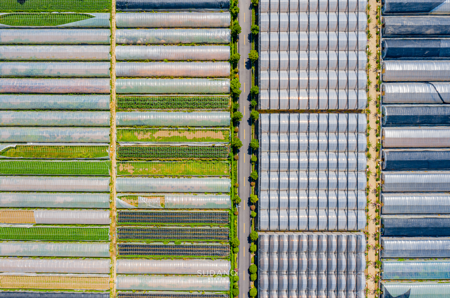 苏州吴江区六大名镇,苏州吴江最有发展区是哪里