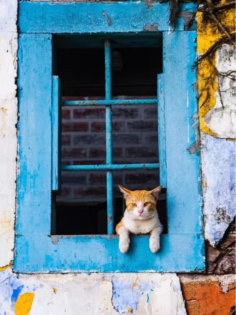 壁纸图片治愈系动漫风景,尼罗河山水治愈系风景壁纸