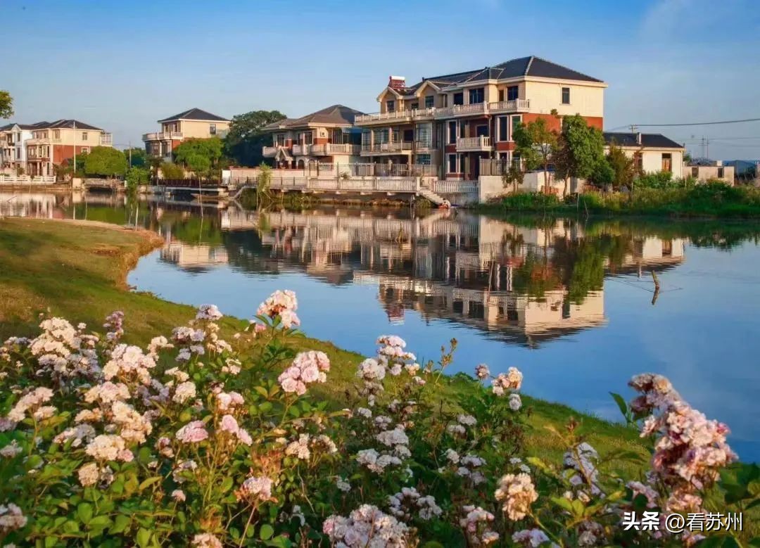 江苏地表水质优良率,太仓市规划环境影响评价