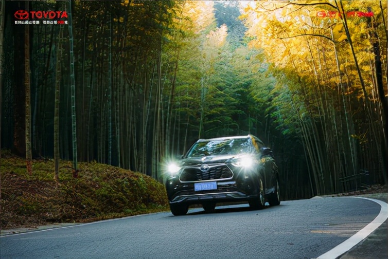 丰田600万感恩活动,广汽丰田惠民购车节庆祝