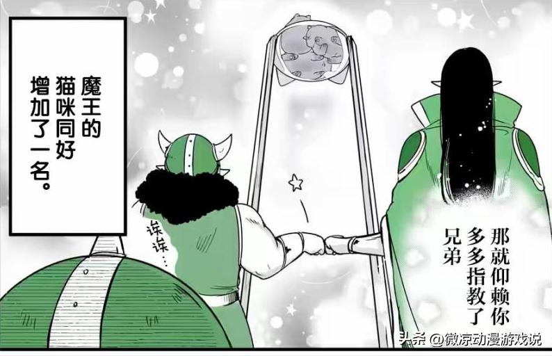 猫猫怎么可以这么乖,猫猫怎样玩耍才会开心