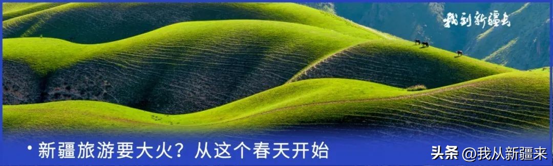 入疆旅游攻略,一篇攻略秒懂新疆