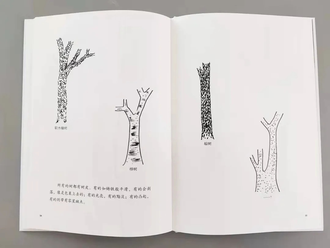 学画画零基础先学什么学画太阳,怎么画最简单的太阳和大树