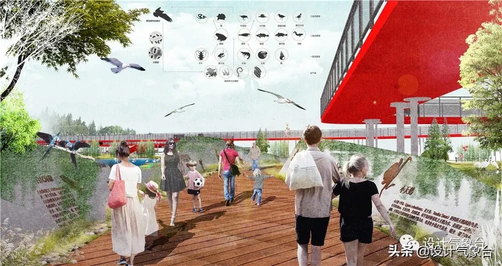 湿地景观效果图,big惜败完整视频