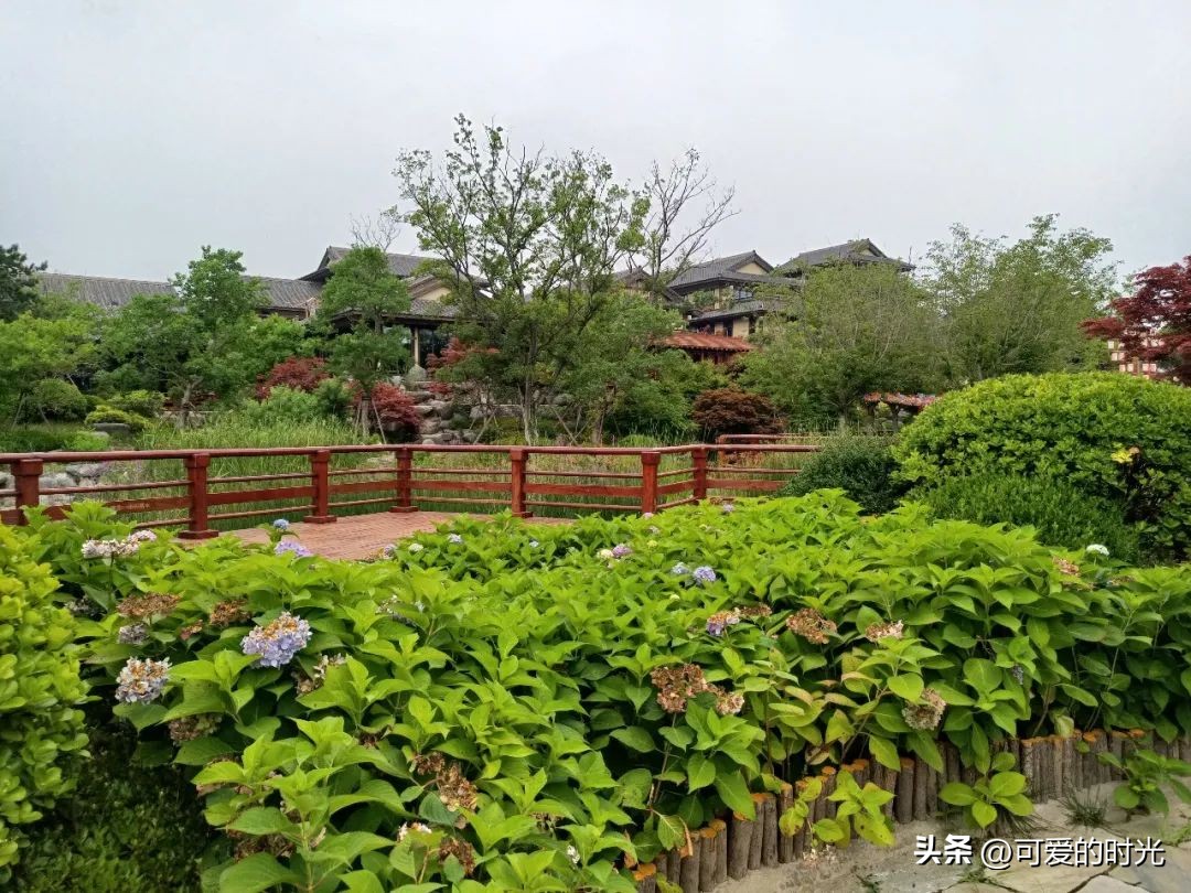 青岛旅行推荐的酒店宾馆,青岛有哪些值得推荐的酒店