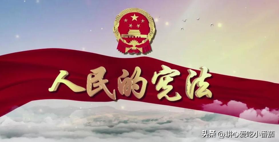 电动车被交警扣后怎么处理,遇到电动车被撞怎么处理