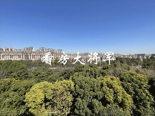 高收入冤种集合地，难出手的伪“豪宅”#l083