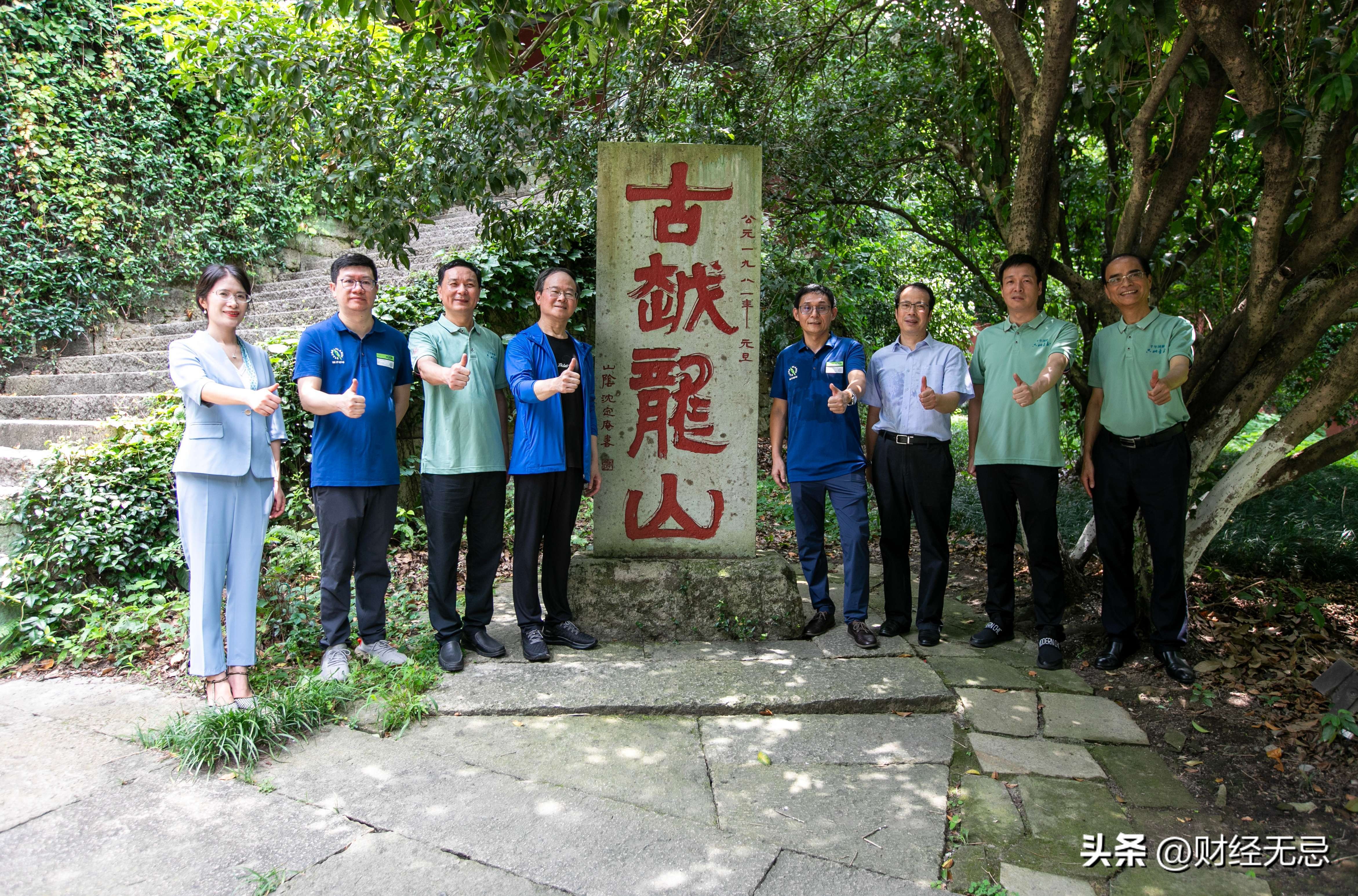 梅酒黄酒,黄酒高端酒