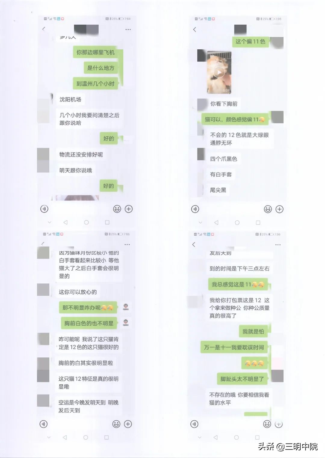 花金渐层的钱买了橘猫,花一万买金渐层